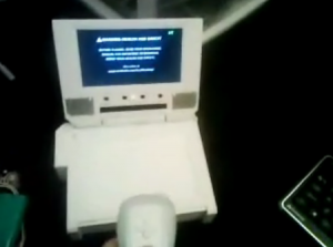 Portable Wii