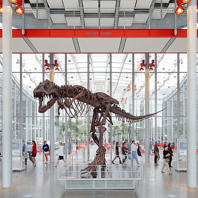 spring_break_cal_academy_of_sciences