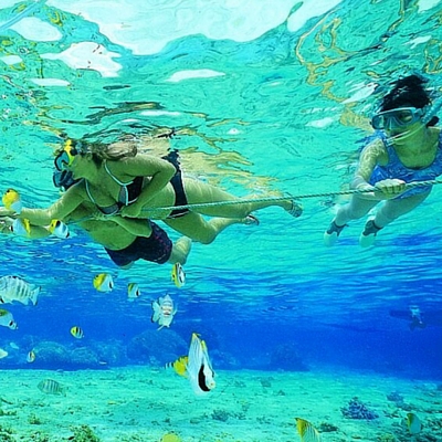 spring_break_john_pennekamp_coral_reef