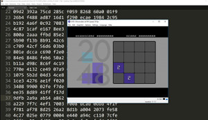 Coding & Development 101